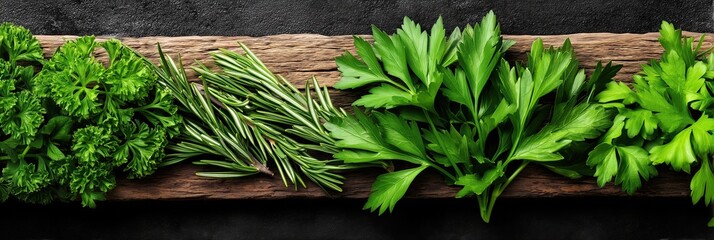 Fresh herbs: curly parsley rosemary and flat leaf parsley arranged on wooden plank