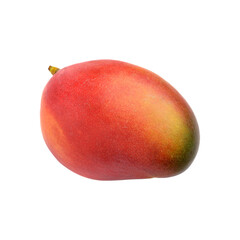 Bright Ripe Mango Fruit with Red and Green Skin