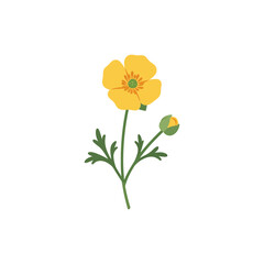 Obraz premium Colorful flat icon of buttercup flower with no white areas
