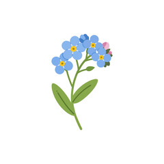 Colorful flat icon of forget me not flower with no white