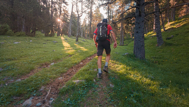 Trekking in the Aragonese Pyrenees: Man walking from Saravillo to the Lavasar refuge, with panoramic views of the trees and mountains of the Chistau Valley, a natural paradise in Huesca.
