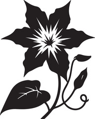 Star Glory Flower Black Silhouette Vector, Decorative Botanical Clipart & Wild Bloom Design