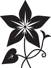 Star Glory Flower Black Silhouette Vector, Decorative Botanical Clipart & Wild Bloom Design