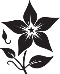 Star Glory Flower Black Silhouette Vector, Decorative Botanical Clipart & Wild Bloom Design