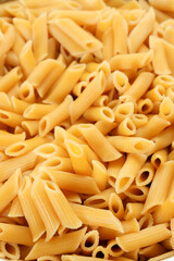 Pasta Penne bowl close up