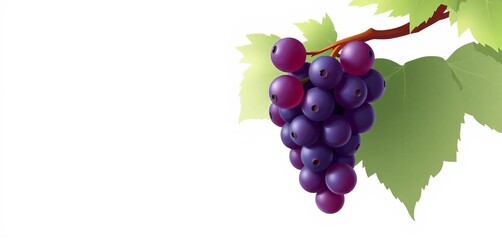 Obraz premium Simple, clean vector illustration of a single grape , vector, symbol