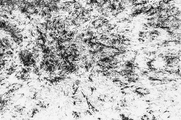 urban grunge texture background dirty