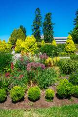 Sunken Garden Plants 7