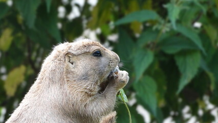 Guten Appetit :)