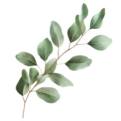 green leaves isolated on transparent background, clipping path, png file.