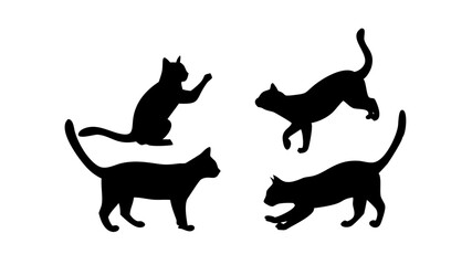 A black and white image of a cat sitting in a box