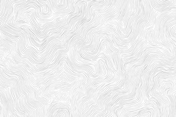 Fototapeta premium Minimalist Topographic Map Contour Lines on White