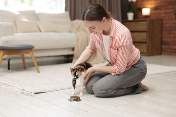 Woman feeding her cute calico kitten at home © New Africa