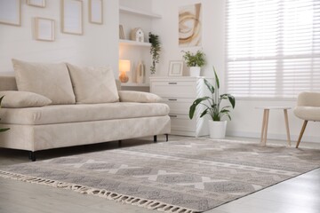 Comfortable sofa and stylish rug in room. Interior design