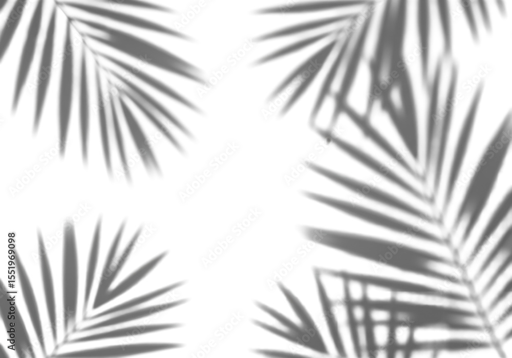 Poster soft, realistic shadows of tropical palm tree leaves with clear contours, appearing as full objects 