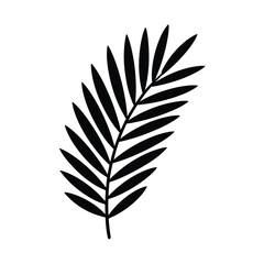 Fototapeta premium Simple Palm Leaf Silhouette
