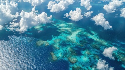 Aerial View of Tropical Coral Reef and Turquoise Water Landscape