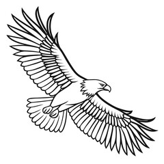 Obraz premium Majestic black and white illustration of a soaring eagle in full flight with extended wings