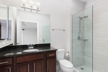 A bathroom with a dark wood cabinet and black countertop and a brown tiled shower.