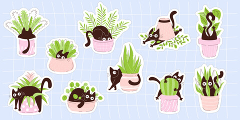 Obraz premium Set of cute cat sticker illustrations with playful black kittens hiding in flower pots. Flat design perfect for planner decoration, scrapbooking, kids crafts and stationery