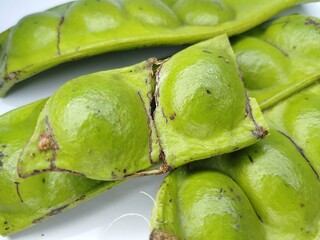 Fresh Green Parkia Speciosa or Bitter Bean with Pod and Seeds on White Background – Close-Up of...