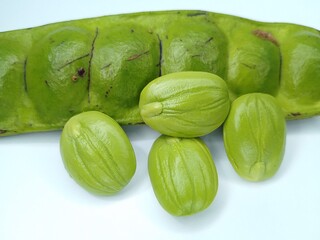 Fresh Green Parkia Speciosa or Bitter Bean with Pod and Seeds on White Background Close-Up of Exotic Stink Bean Popular in Southeast Asian Cuisine and Traditional Tropical Dishes