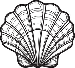A detailed vector illustration of a sea shell with a prominent, intricate outline, emphasizing its curves and textures with a soft