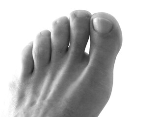 Piede