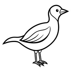 vector illustration of a bird