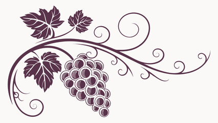 Elegant Grapevine Illustration Swirling Vines and Lush Grapes