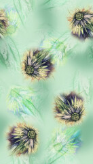 wild flowers in the wind