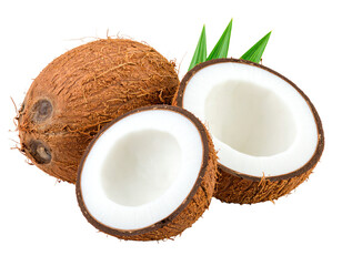 Fresh coconut with brown shell and white inside.