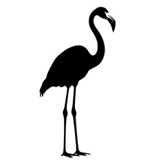 Obraz premium Silhouette of a flamingo standing on one leg, side view
