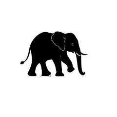 Silhouette of a baby elephant walking with raised trunk