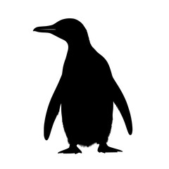 Obraz premium Silhouette of a penguin standing upright, side facing
