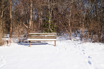 A rustic bench sits in a snowy landscape surrounded by leafless trees, creating a serene winter scene with untouched snow on the ground