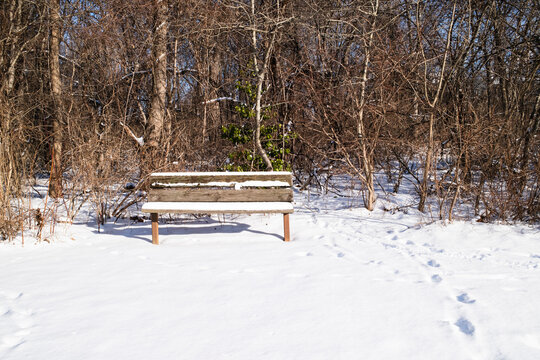 A rustic bench sits in a snowy landscape surrounded by leafless trees, creating a serene winter scene with untouched snow on the ground