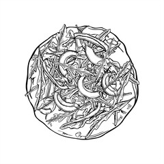 Tortilla or pizza with arugula, avocado slices, beans and corn line art ink illustration in black and white. Monochrome cornmeal flour Mexican tortillas graphic sketch. For healthy food packaging
