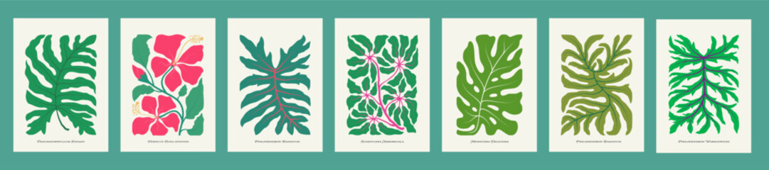 Tropical plant leaves llustration set. Modern botanical illustration of monstera, philodendron palm leaf, hibiscus flower, schefflera. Vector papercut matisse style leaves with playful vibrant colors © Ron Dale