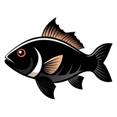 Isolated Black Drum Fish Clipart | Clean Vector Drawing
