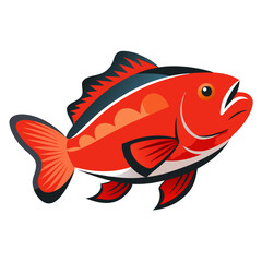 Clean Grouper Fish Vector Illustration
