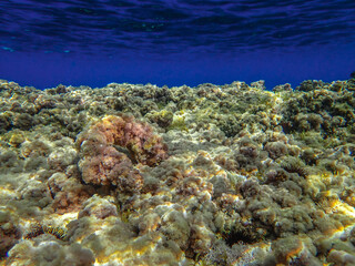 Ocean blue underwater with sunrays, Underwater Sea Deep Water Abstract Sunshine, sea wave , clean...