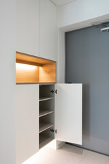 Install lighting in the storage space in the shoe cabinet and store the shoe cabinet