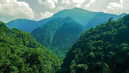Towering green mountain reaching the clouds in the rainforest of Tingo María, Peru.