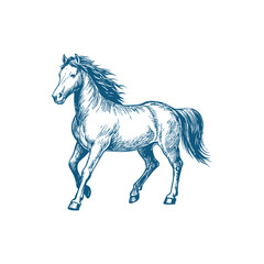 A sketch art of a horse running, showing the initial outline