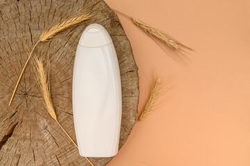 White plastic container on wooden background with wheat sprouts.