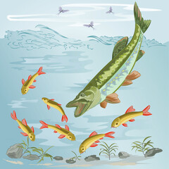 Pike catching small fish in a rapid river stream watercolor vintage vector illustration editable hand drawing
