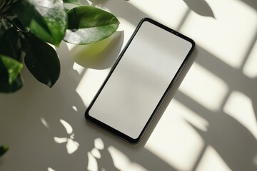 A flat lay of a smartphone with a blank screen