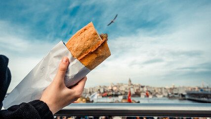 Hand holding Turkish fish sandwich with cityscape and seagull in background