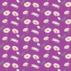 Seamless pattern of white daisies with yellow centers on a vibrant purple and grey  background